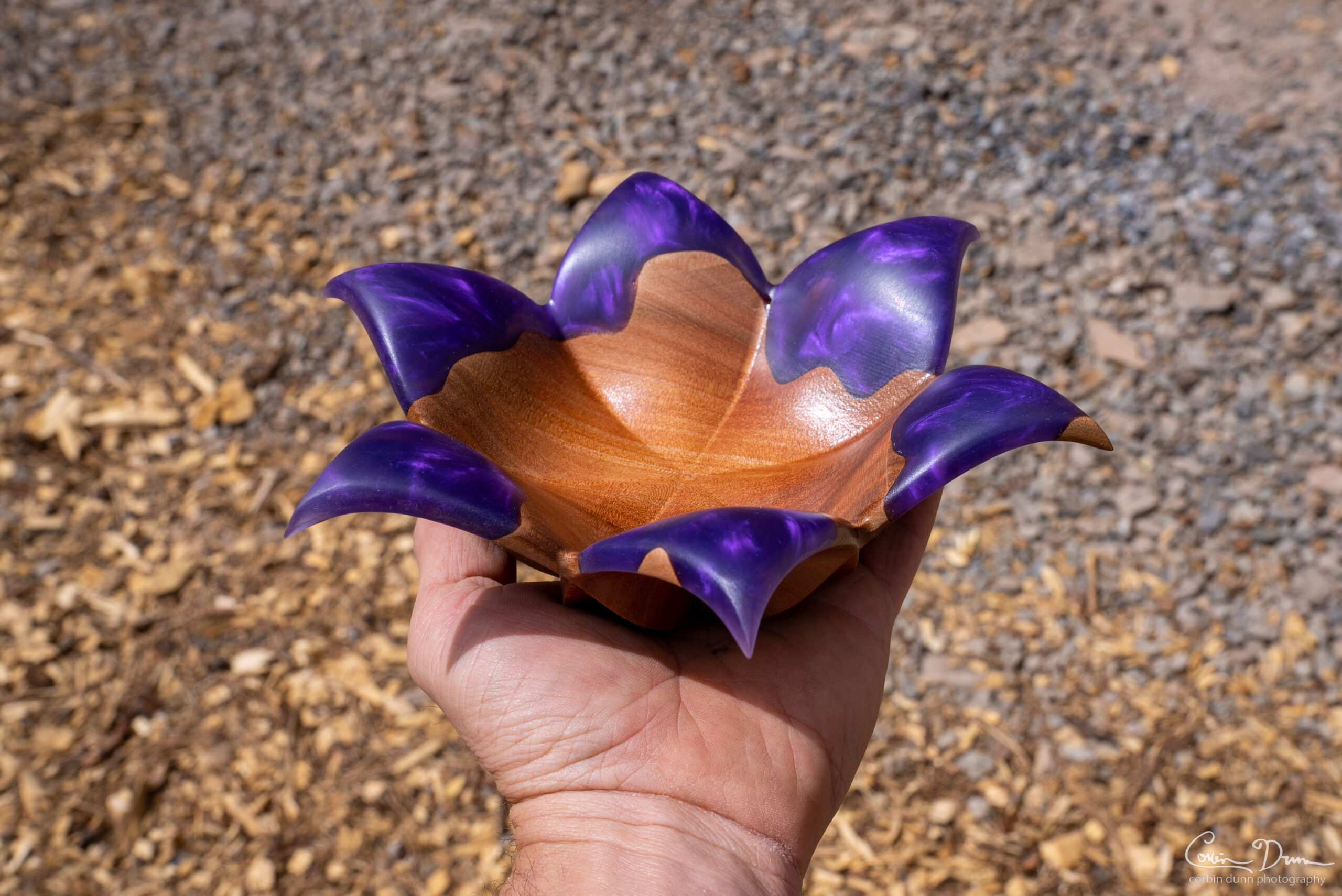 Digital Files: Lotus Bowl - Image 3