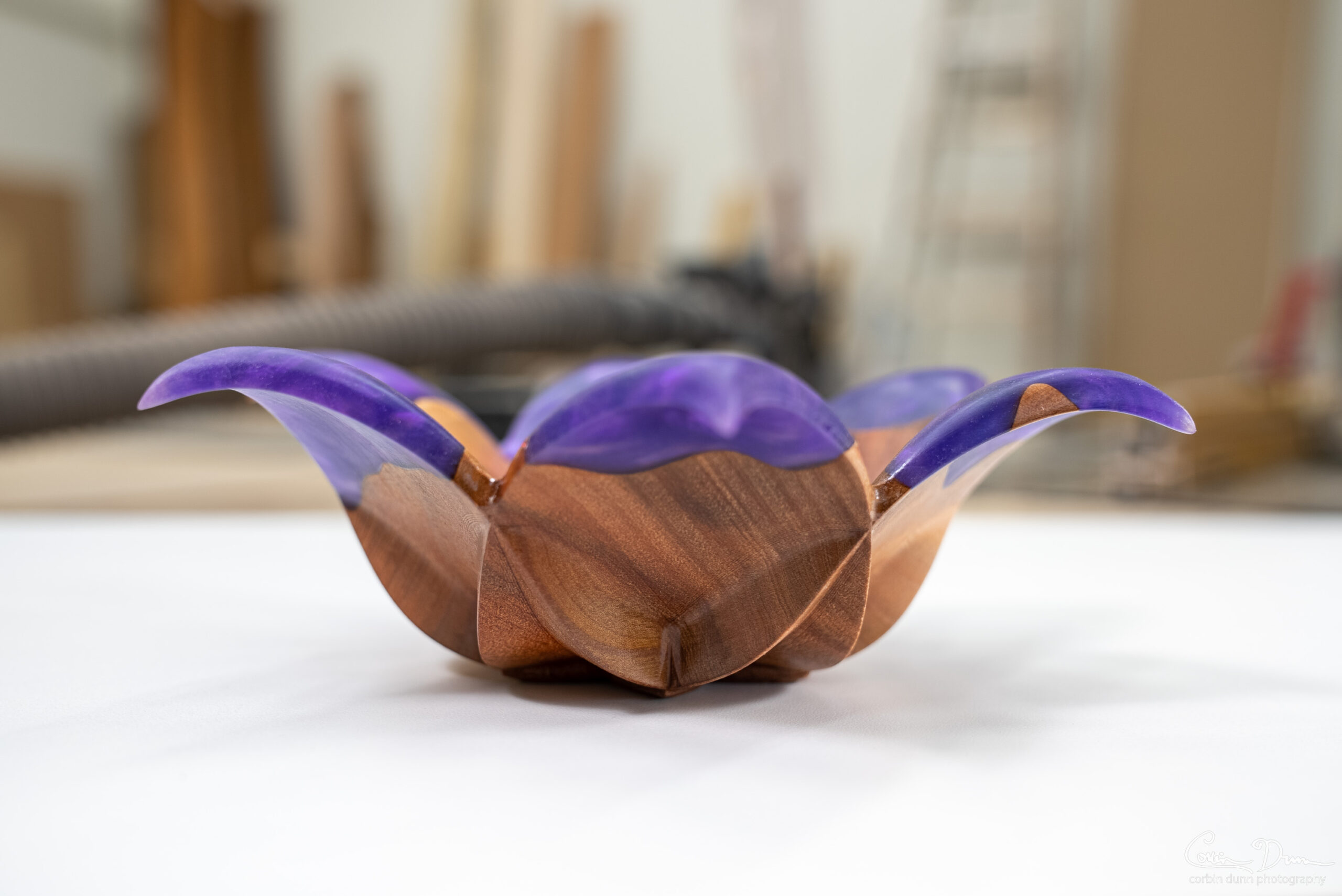 Digital Files: Lotus Bowl - Image 6